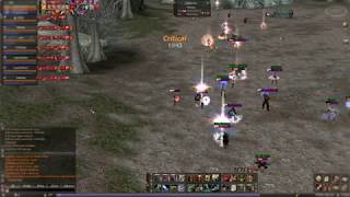 [Lineage II] 4F - 8 Man vs. 5 Bishop Zerg - L2 Latin