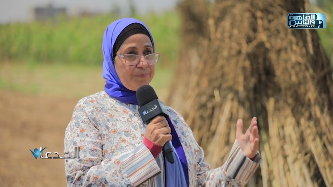 د.سحر غزال: تركيبتنا لمعالجة نبات السمسم خليط من 