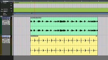 PT Video 06 Sample vs tick.mov