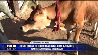 Aimees Farm Animal Sanctuary