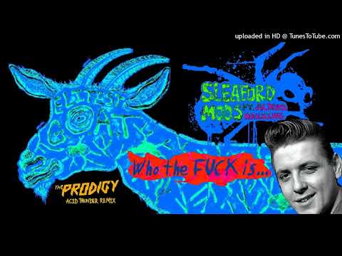 Sleaford Mods & Aldous Harding - Elitest GOAT [The Prodigy Extended] / Who The F Is Eddy C [Mashup]