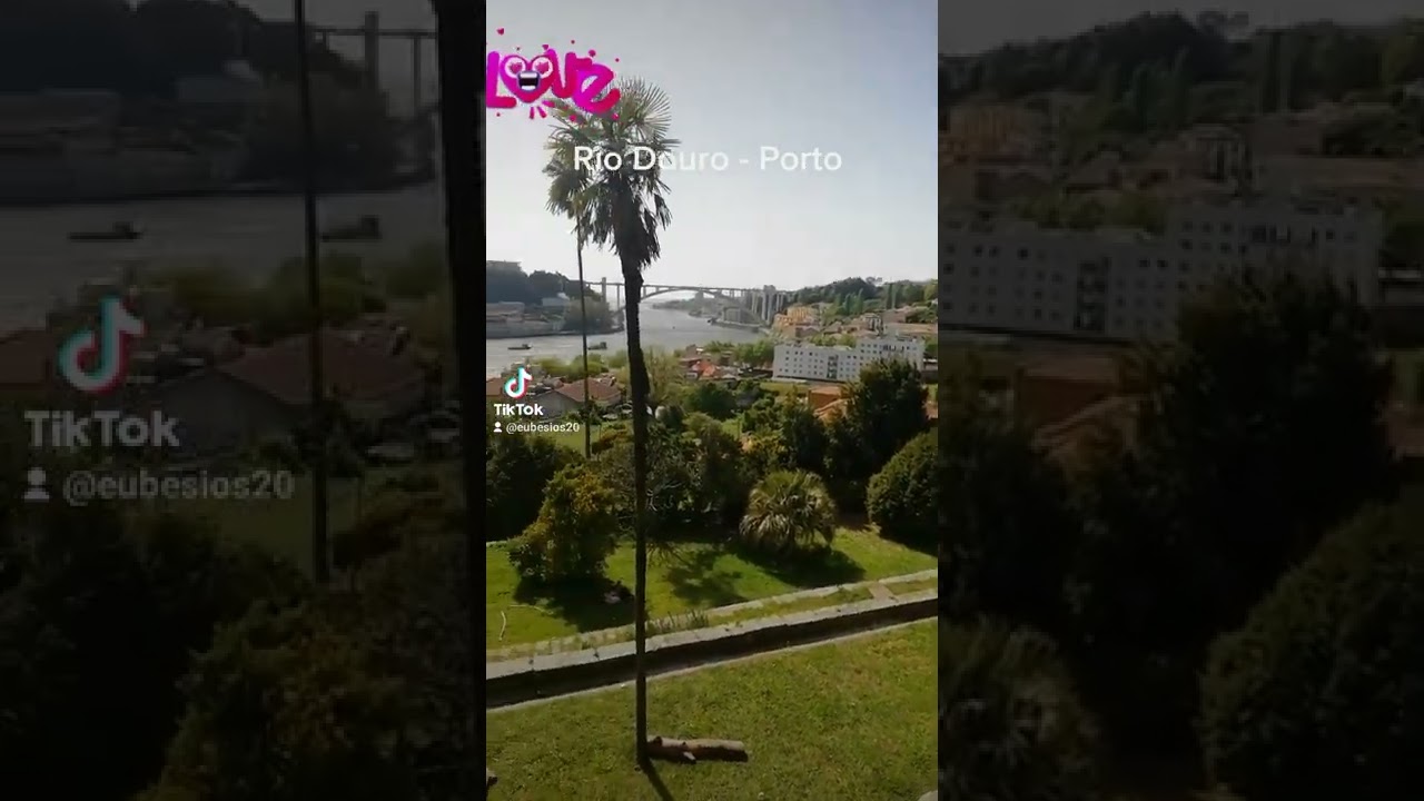 Rio Douro visto desde Porto! #shorts #portugal #turismo #porto