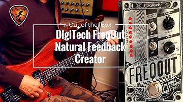 DigiTech FreqOut Natural Feedback Creator "Out of the Box!"