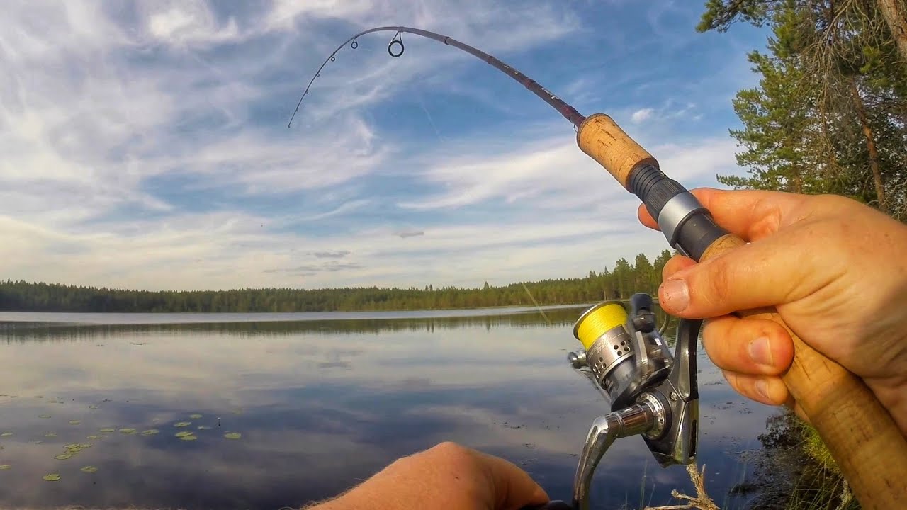 Kalastusta metsälammella