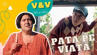 V&V  Pata pe viață