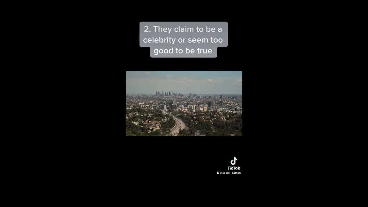 Top 3 Signs You are Talking To a CATFISH.