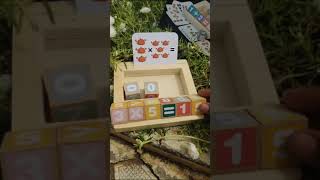 Dice and Card Computational Games learning kit comes with 1 wooden base, 8 wooden dices and 54 flash