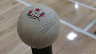 Cloverdale Spurs Challenger Baseball
