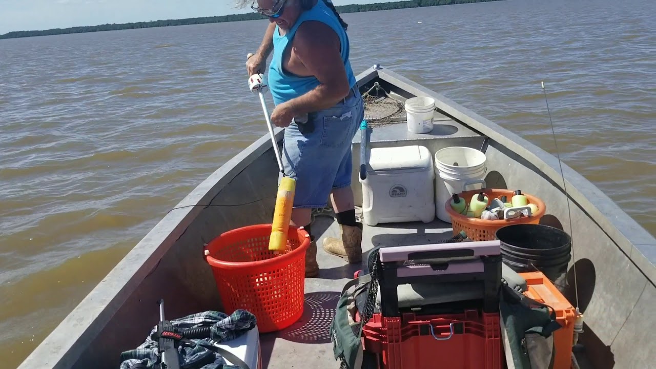 Catching Catfish on Jug Lines YouTube