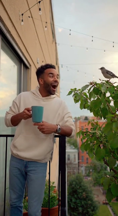 Mockingbird: Is that a glitter dude?