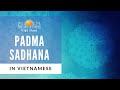 Padma sadhana in vietnamese  yoga for immunity  yoga for stress relief  the art of living vietnam