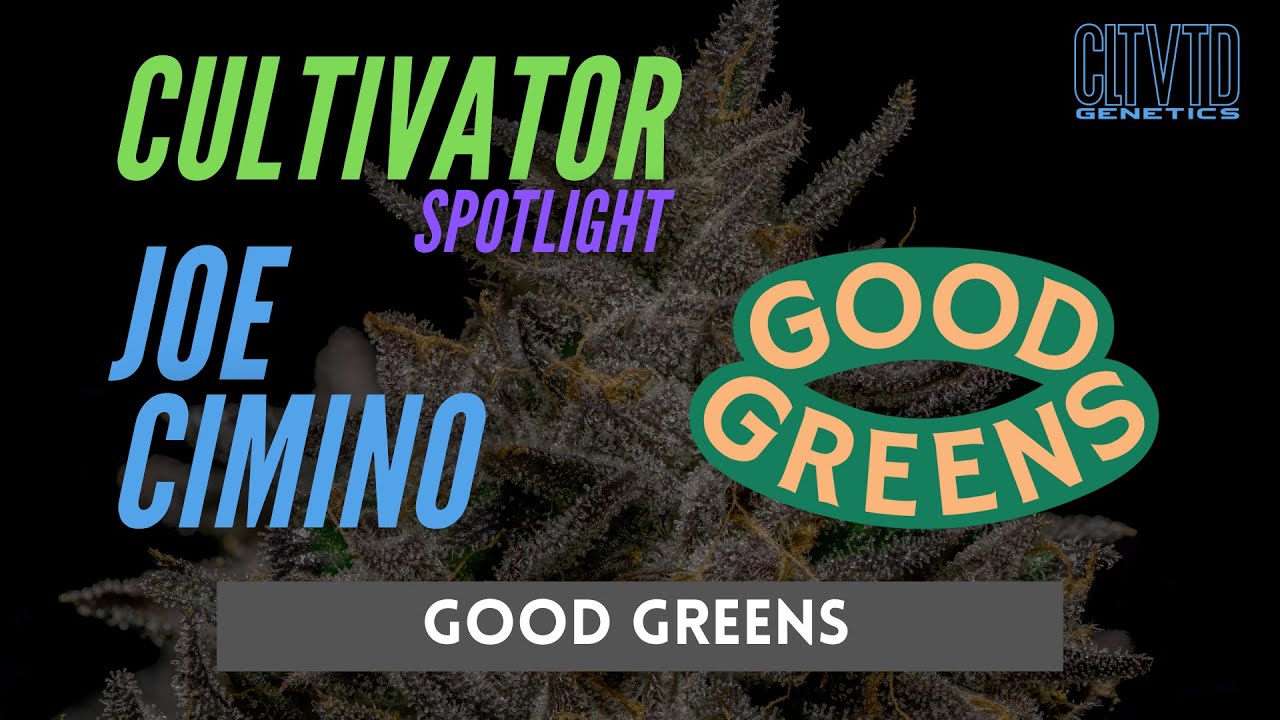 Cultivator Spotlight ~ Joe Cimino (Good Greens) | Cultivation Familia Member with CLTVTD Genetics