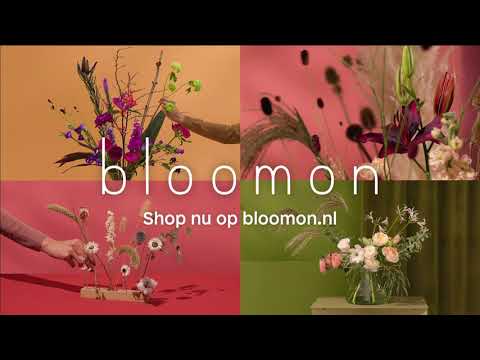 bloomon - Floral design van je online bloemist!