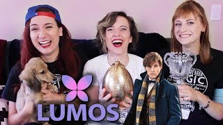 Win A Trip to the FANTASTIC BEASTS PREMIERE!!! Lumos Charity Stream! @BrizzyVlogs