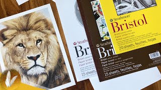 Best Paper For Colored Pencils | Strathmore Bristol Vellum Paper Review