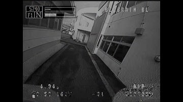 NewBeeDrone AcroBee BeeBrain BL