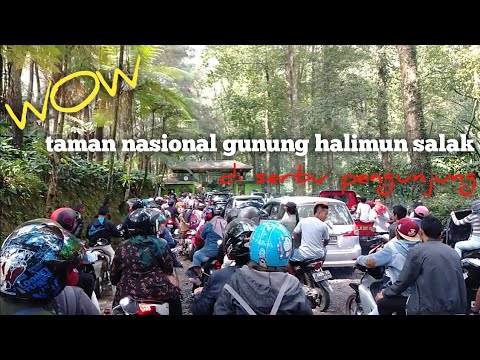 #TAMAN NASIONAL GUNUNG HALIMUN SALAK BOGOR JAWA BARAT ~ pasca new normal pengunjung membeludak