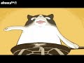 쵸코의 오믈렛 해주는 강아지 더빙[훈훈]
