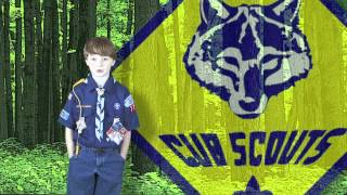 2012 Cub Scouts 30 sec spot