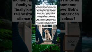 #bob #brooklyn #muzzle #adopter #dogs #volunteer #camera #silence #speak #love #tail #shorts #pretty