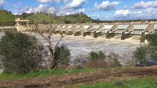 Nimbus Dam - 80,000 cfs release - 02/10/2017