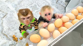 Monkey Kaka and monkey Mit apologize to mom for breaking the egg