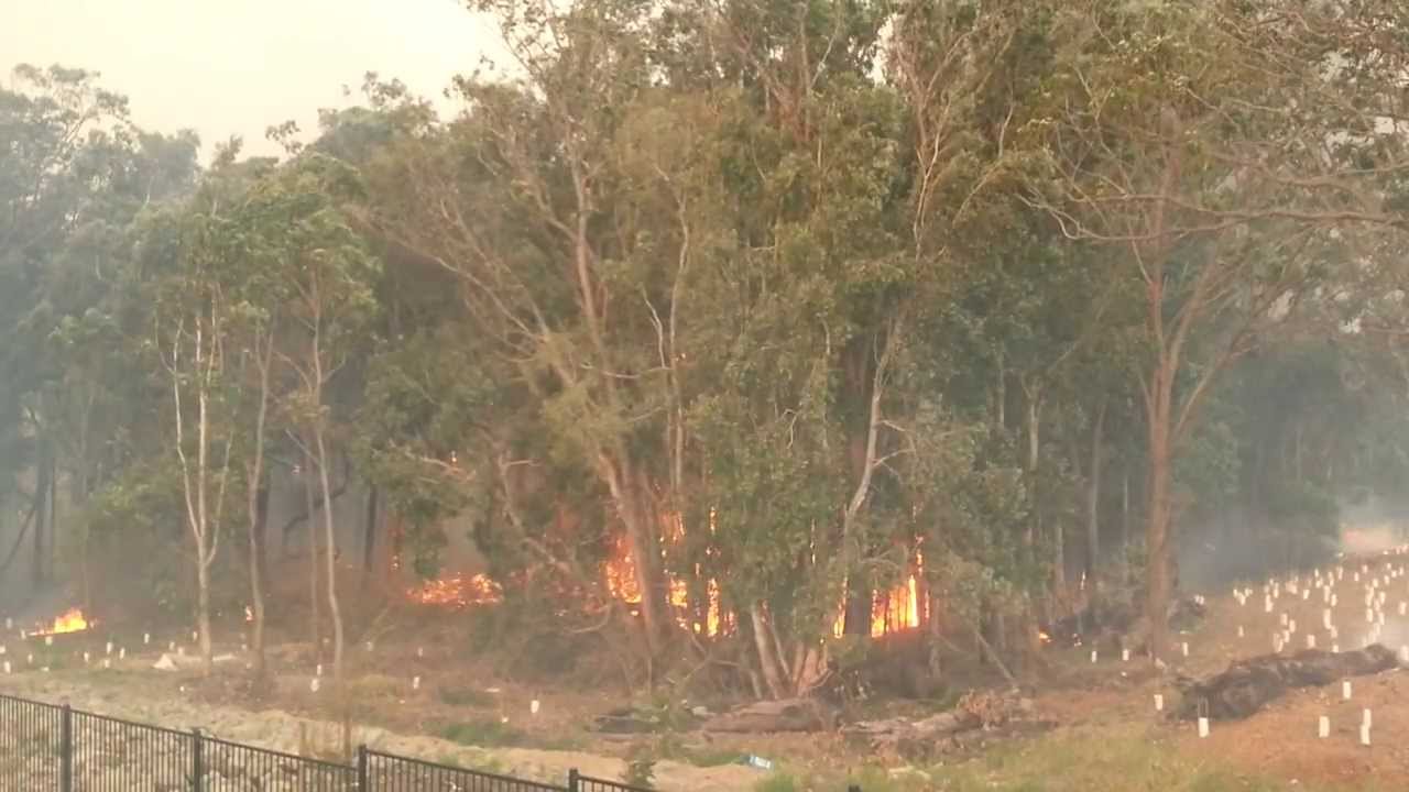 Chain Valley Bay bushfire behind Woolies