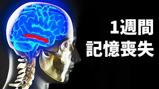 80億人が同時に記憶喪失になったら...？