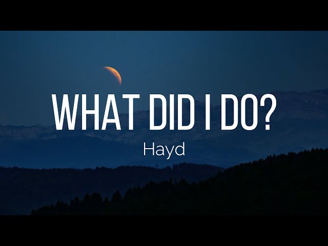 Hayd - What Did I Do? (Lyrics) class=