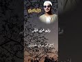 من أجمل الأصوات قرآن الصباح بارك الل ه فيكم المنشاوي البهتيمي التلاوات النادره القرآن الكريم 
