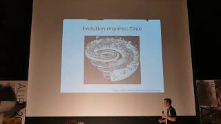 The Boundedness Illusion (presented by Michael J. Wiser)
