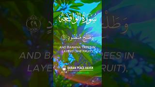 The Friday secret to unexpected blessings ✨ | Surah Al-Waqiah Ayah 28-31 #islamicguidance #shorts