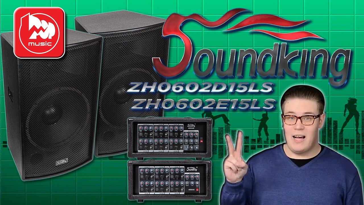 Купить SOUNDKING ZH0602D15LS в Москве и с доставкой по России