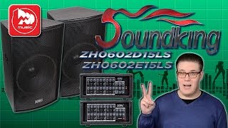 SOUNDKING ZH0602D15LS + ZH0602E15LS - доступные звукоусилительные комплекты