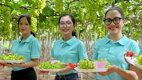 Một ngày trải nghiệm trong hội thi nét đẹp văn hoá Ninh Thuận. Nguồn: Đinh Lê Thái Huy.