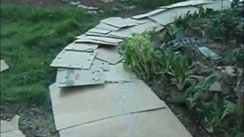 Bokashi, Carbon Sheet mulch, Reminerilization.