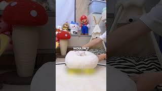 Kittend Excitement For Tour