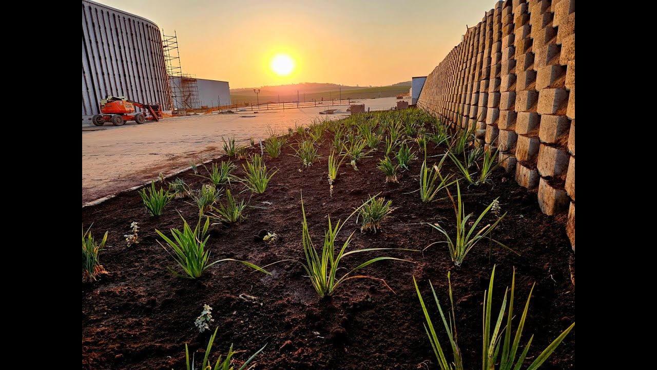 The Greenery Of Westown Square with Jane Linley-Thomas