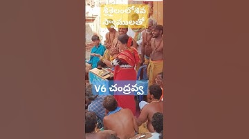 శ్రీశైలంలో శివ స్వాములతో v6 చంద్రవ్వ #trending #youtubeshorts #ytshorts #ytviral #news