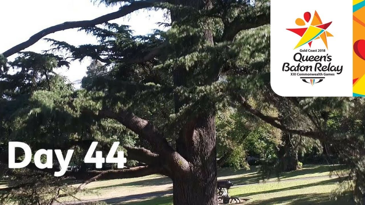 Queen's Baton Relay - Day 44 Launceston, Devonport, Burnie sports news