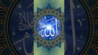short videos 🌷❤️🤲💚🌹