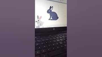 Rabbit AltCodeShortcuts|| MS Word Unicode Symbol #shorts #msword #unicode