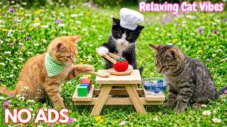 12 Hours Calming Music for Cats 💤 Calm Cats, Sleep Comfort, Deep Relaxation 💙 Relaxed Cats