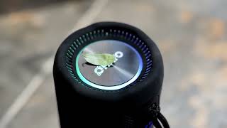 OHAYO X10MAX isn't just a speaker – it's a portable party machine#ohayo #x10