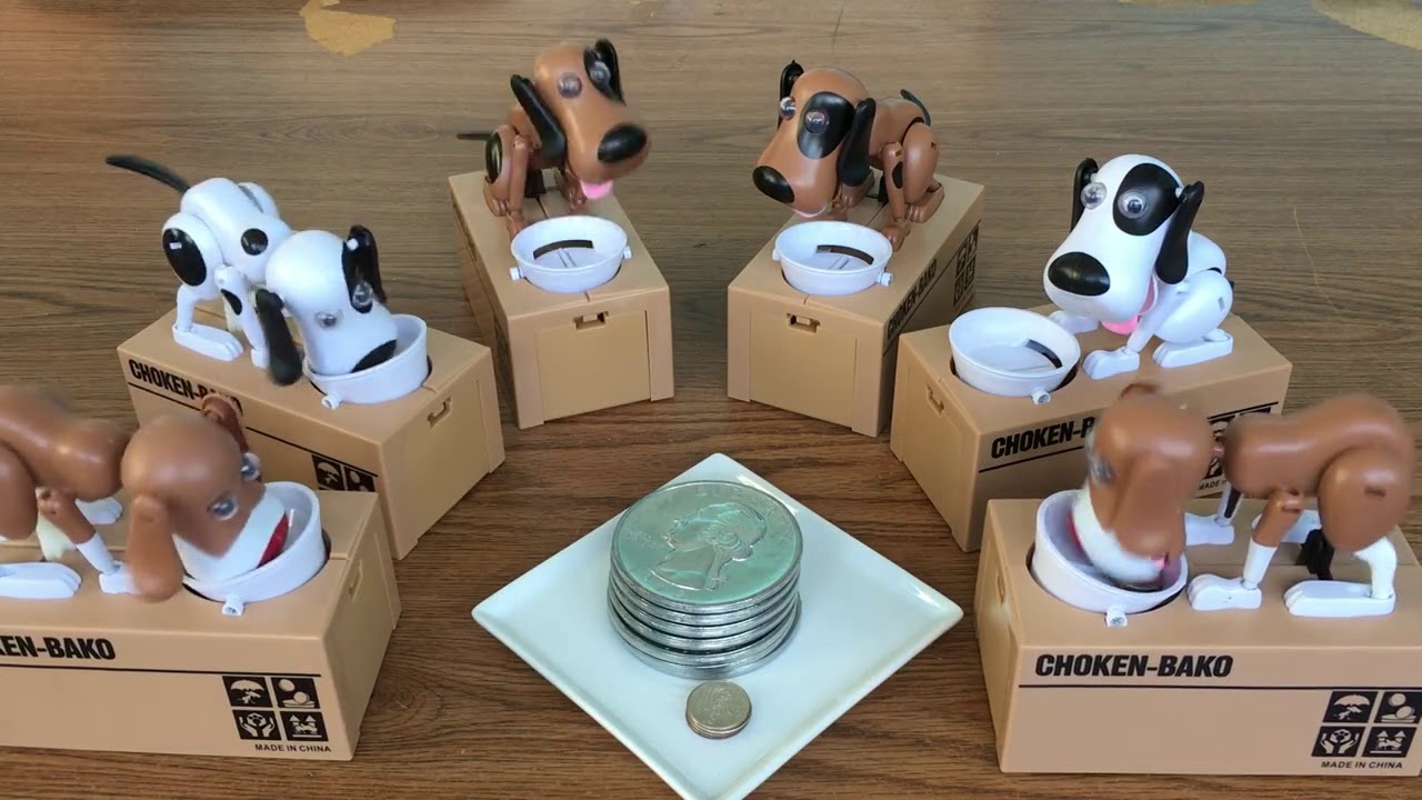Coin Eating Doggy Bank YouTube