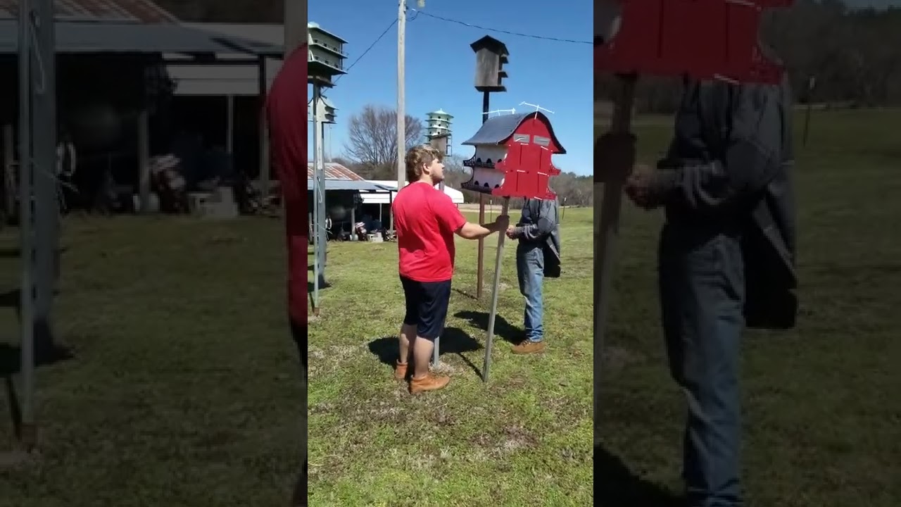 putting up a new purple martin house