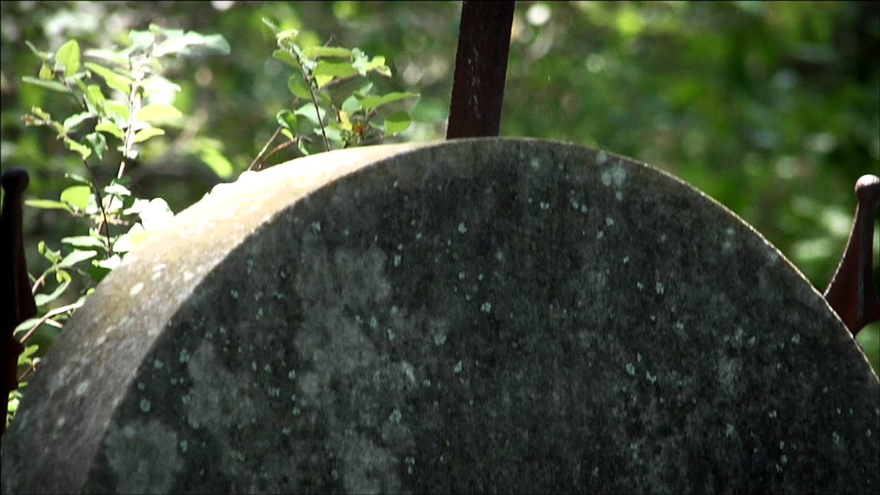 Tomlinson Hill Book Trailer