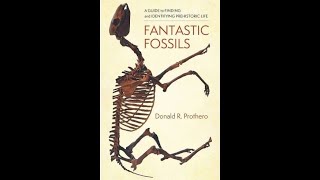 Book Review Fantastic Fossils