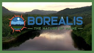 Borealis The Nature Of Maine