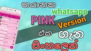 Real Facts about the new Pink WHATSAPP | Truth Behind these type of apps | Sinhala | C4techLK screenshot 3